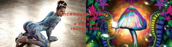 дурь Лихославль