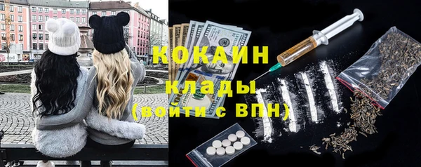 соль ск Лиски