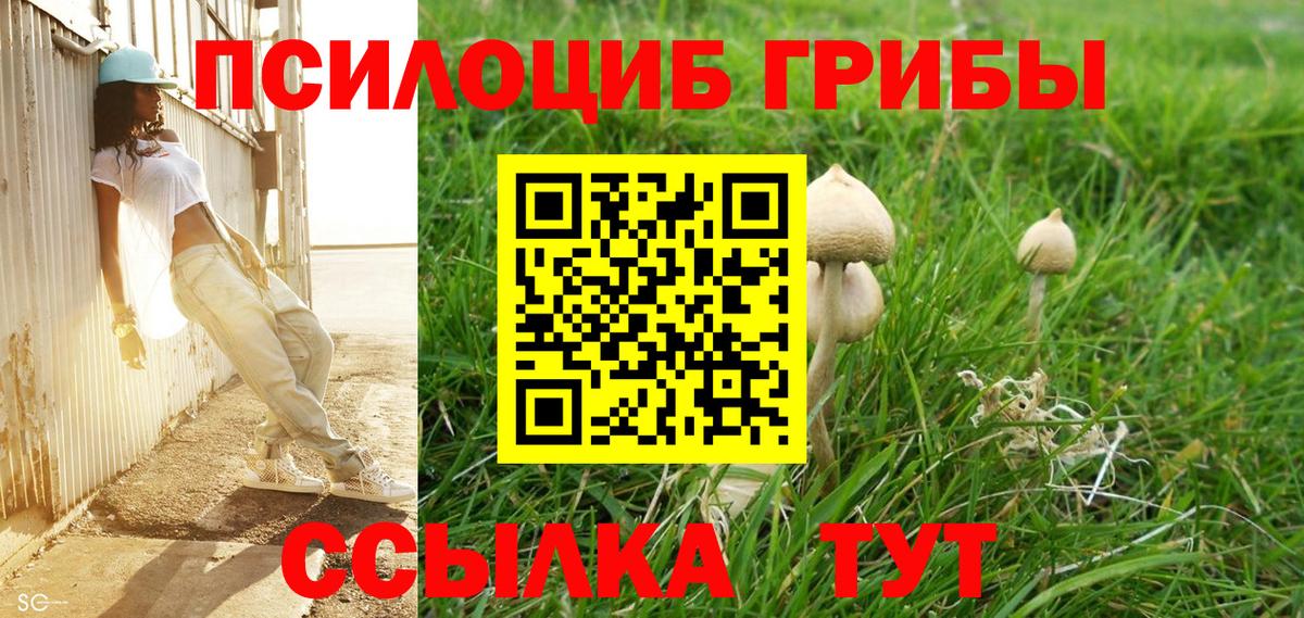 Галлюциногенные грибы MAGIC MUSHROOMS  Галлюциногенные грибы Psilocybe  Екатеринбург  Вход с VPN 