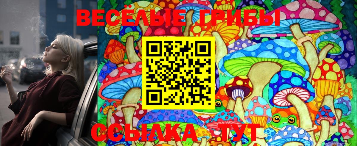 купить   Екатеринбург  Галлюциногенные грибы прущие грибы 