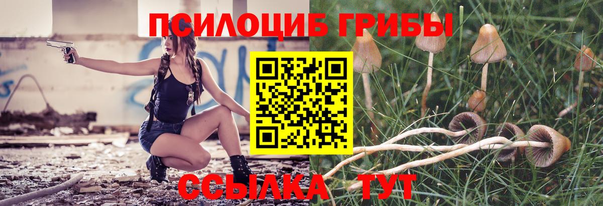 Псилоцибиновые грибы MAGIC MUSHROOMS Екатеринбург